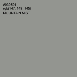 #939591 - Mountain Mist Color Image